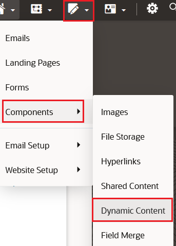 Eloqua Homepage, instructions on how to get the Dynamic Content page<br>